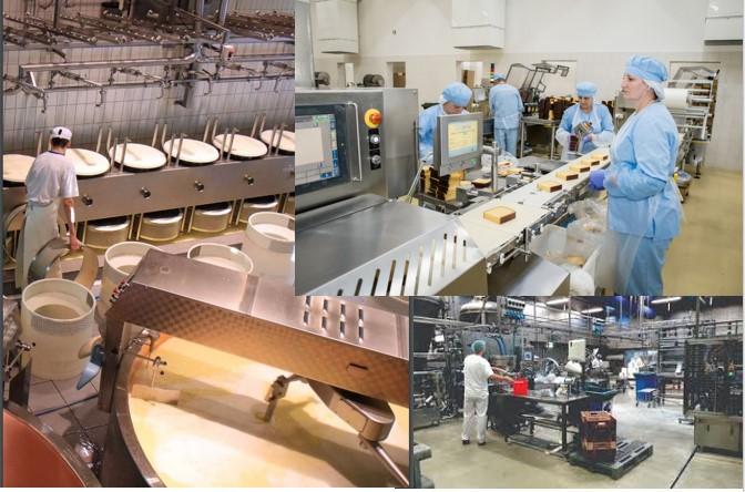 Implementing Digital Transformation in Agri-Industries: UNIDO Project for Mongolia